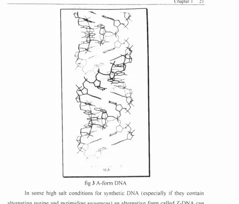 fig 3 A-form DNA