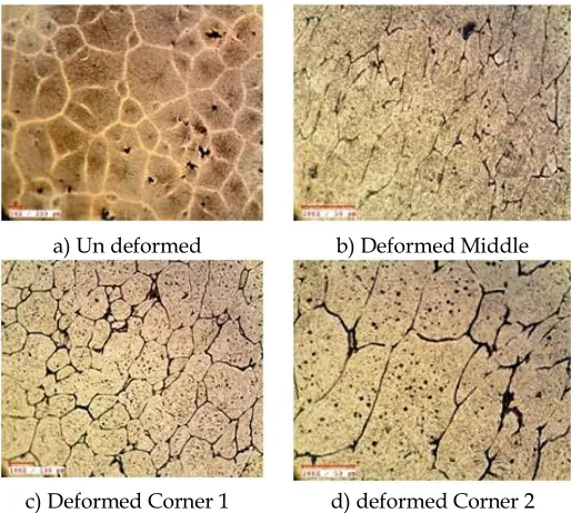 Figure 4: Microstructure of the specimen at different sections 