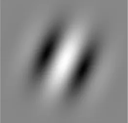 Figure 5.4: Example of right–oriented Gabor patch.
