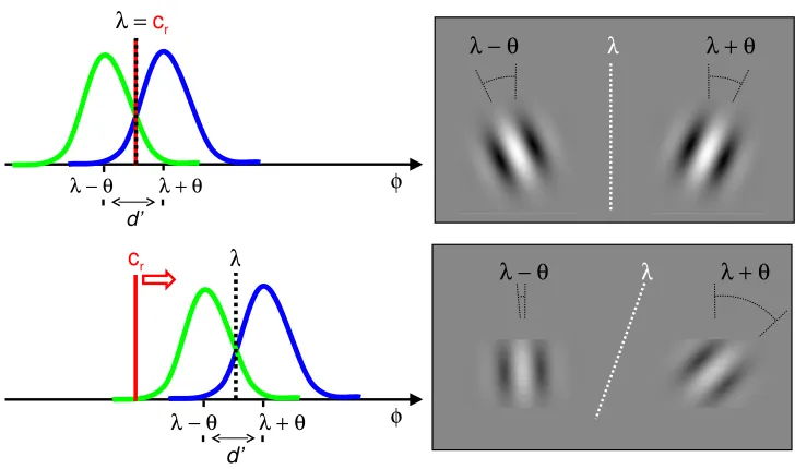 Figure 5.6: Eﬀect of a rigid rotation. The upper part shows the experimentalsituation refered to the standard vertical orientation (λ = 0◦)