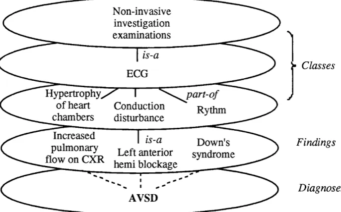 Figure 4.5: Representation of the domain knowledge in HYCONES