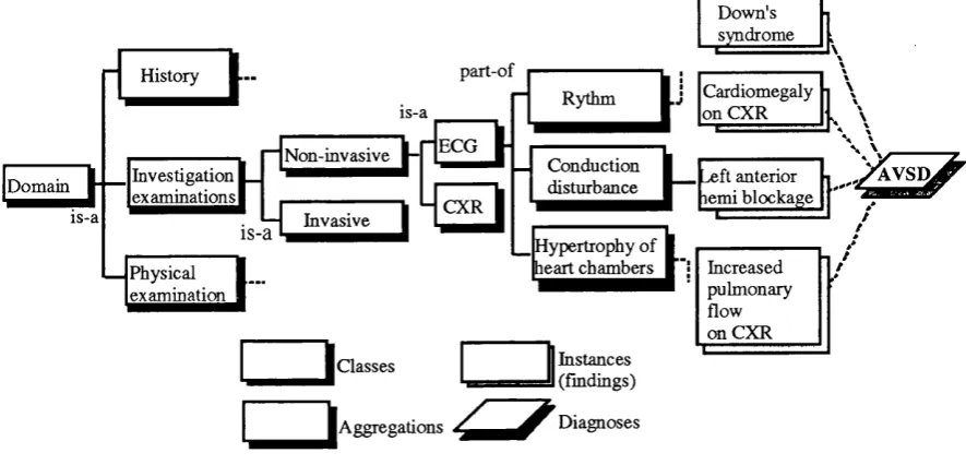 Figure 5.2: The representation of the domain knowledge