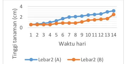 Figure 25  Growth of leaf width in two treatments (plant three) 