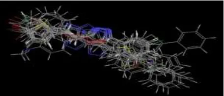Fig. 1. Structural alignment of the 3D ligand conformations for Schrödinger Phase™ atom-based 3D QSAR modelling: 3D alignment of the dataset (training/test)