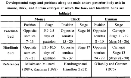 Developmental stage and positions along the main antero-posterior body axis inTable 1.1 