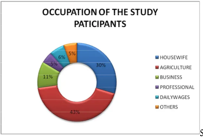 Figure 1: Occupation of the study population 