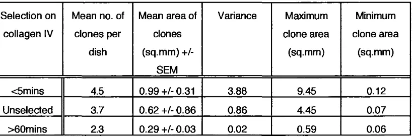 Table 5: The area of clones derived from populations of cells with different properties 