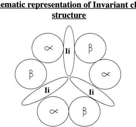 Figure 2Schematic representation of Invariant chain