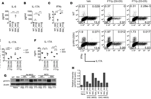 Figure 3. FTY720 treatment downregulated Th17 cell development via targeting STAT3 activation