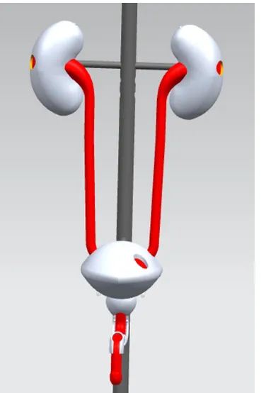 Figure 2 The male urinary-system-simulating physical model.