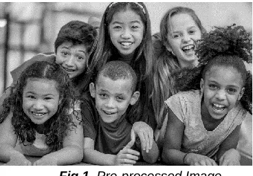 Fig 1. Pre-processed Image 