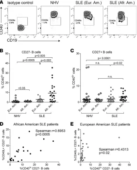 Figure 3. African American (Afr. Am.) systemic lupus erythe-matosus (SLE) patients express lower levels of surface CD40 on 