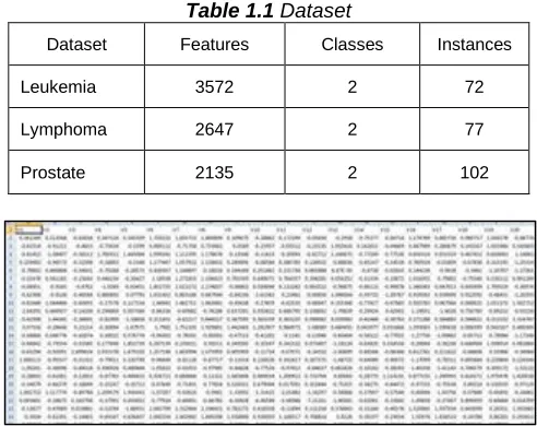 Table 1.1 Dataset 