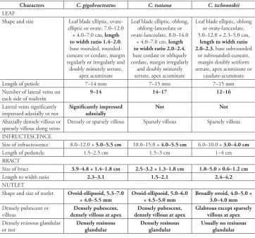 Table 2. Morphological comparison of C. gigabracteatus with C. tsaiana and C. tschonoskii.
