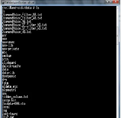 Figure 3:  Contents of data partition of an Android device  