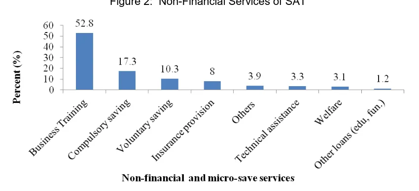 Figure 2:  Non-Financial Services of SAT 