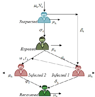 Fig. 1. Diagram of the human population of the SEIR model 