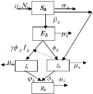 Fig. 2. SEIR model TB transmission population scheme 