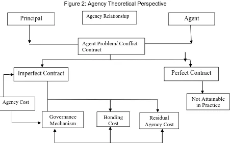 Figure 2: Agency Theoretical Perspective 