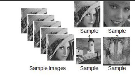 Fig. 2 . Sample Input Images from standard medical image Dataset  