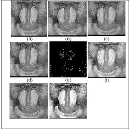 Fig :6  Denoising result for Baboon image (a) Input image   (b) Random value impulsive noise (c) Wave let transform output (d) Curve let transform output (e) Fast NLM filter output (f) CAE output (g) CNN network output (h) Stochastic gradient descent CNN o