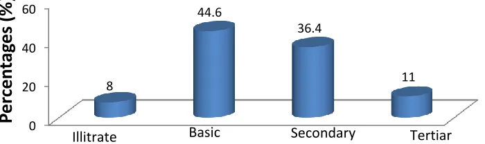 Figure 1: Educational Background of Respondents 