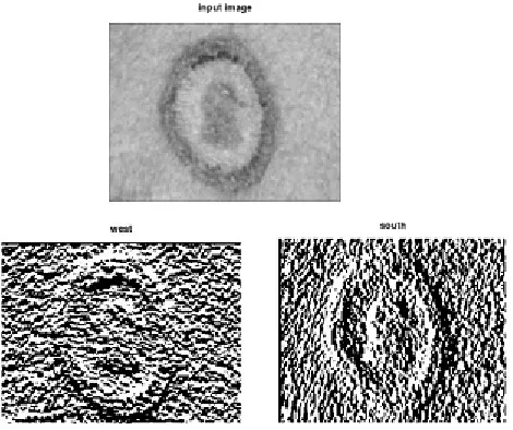 Fig. 17:  Ringworm Image, Robinson compass mask west direction,  south direction. 