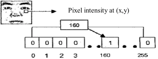 Figure 2.1: Active pixel representation [8]. 