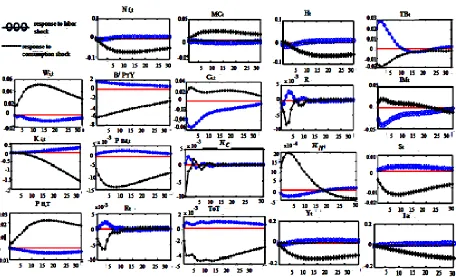 Figure 3: Dynamic Responses to a consumption and labor shock 
