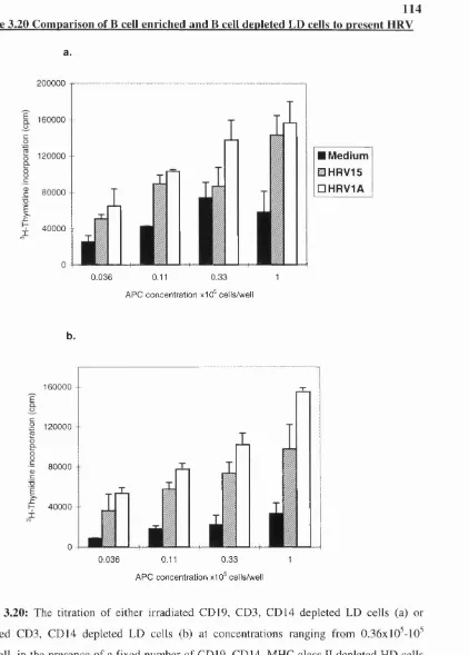 Figure 3.20 Comparison of B cell enriched and B cell depleted LD cells to present HRV 