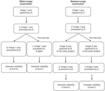 Figure 2 Flow chart of the reliability examination.Abbreviations: A, examiner A; B, examiner B.
