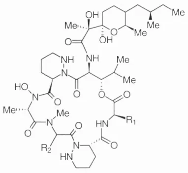 Fig. 3. The structure of verucopeptin.