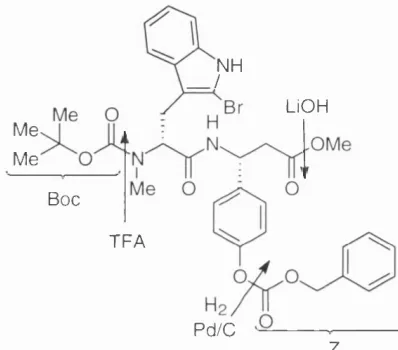 Fig. 6. His-Tyr protected residue in Jasplakinolide synthesis.