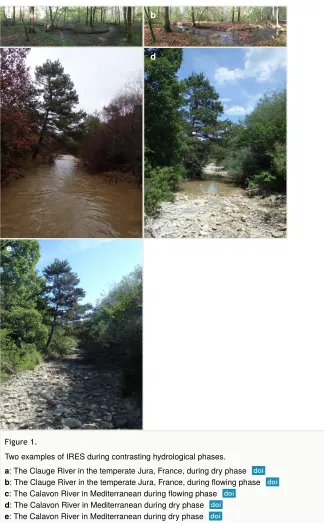 Figure 1. Two examples of IRES during contrasting hydrological phases.