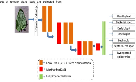 Figure 2: Architecture of CNN methods and 