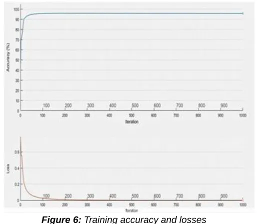 Figure 6: Training accuracy and losses  