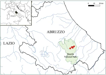 Figure 4. Map showing distribution of Poa magellensis F.Conti & Bartolucci, sp. nov. in Central Apen-nine, Abruzzo (Italy).