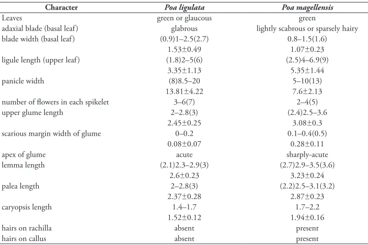 Table 2. Comparison of the key features of Poa ligulata and P. magellensis. Quantitative continuous char-acters are expressed in mm and are reported as mean ± standard deviation and 10−90 percentiles (extreme values in brackets)