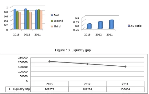 Figure 13. Liquidity gap 