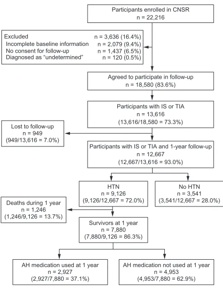 Figure 1 Participant flow diagram.