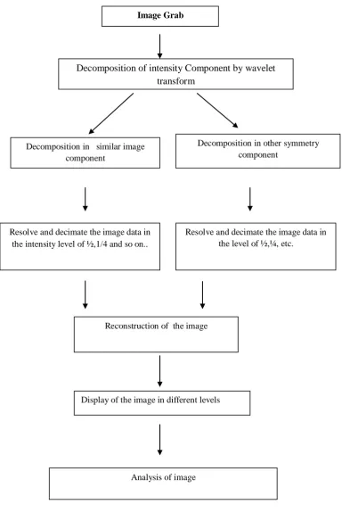 Figure 3- Flow diagram of the analysis by Symlet Wavelet 