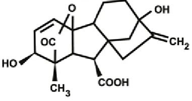 Fig. 2. Structures of the NAA,GA3,IAA. 