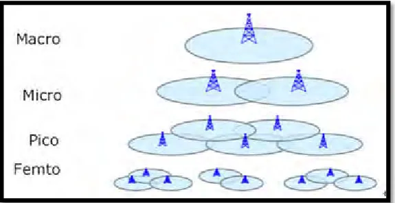Figure 2.2: Representation of cells according to their size. 