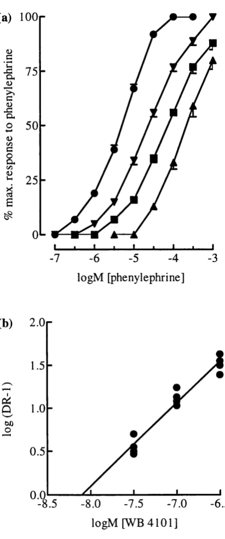Figure 4.7. (a). Antagonism of contractions to phenylephrine in rat spleen by WB 