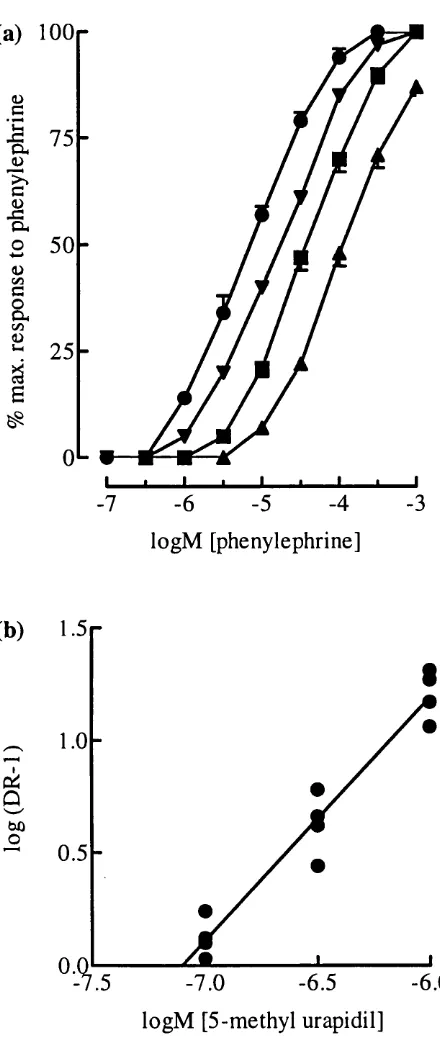 Figure 4.8. (a). Antagonism of contractions to phenylephrine in rat spleen by 5- methyl urapidil