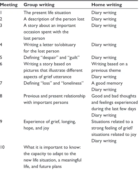 Table 2 Topics for the writing program, including both writing situations: group and diary writing