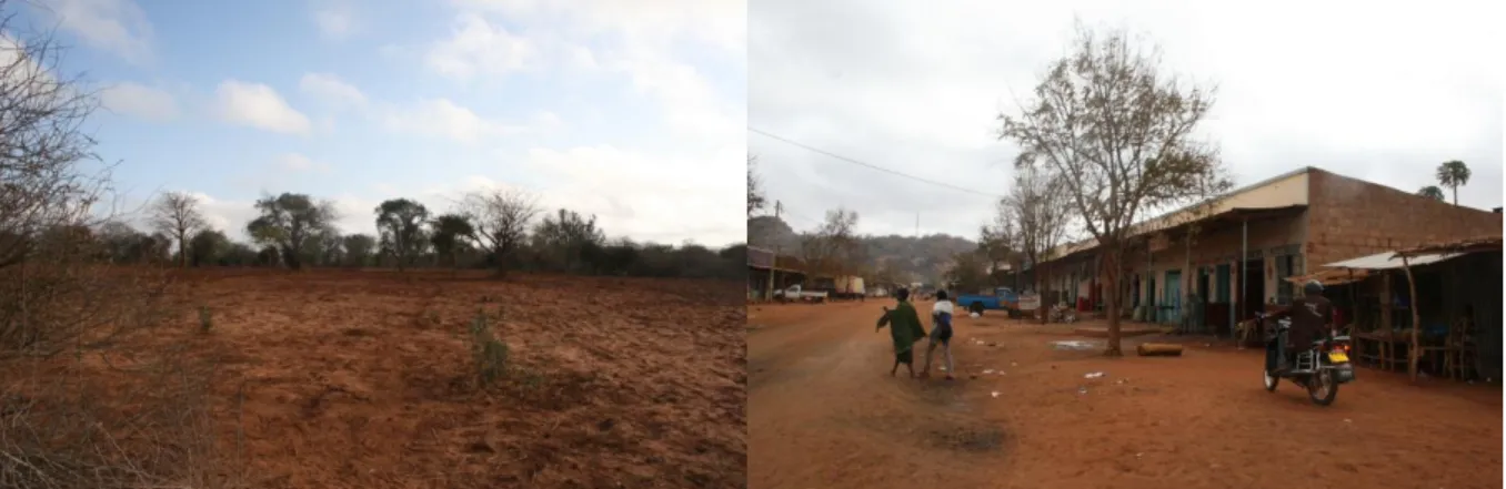 Figure 4 (Emma Selin, 2012) A dried out field to the left and one of the streets in the center of Mutomo town to  the right.