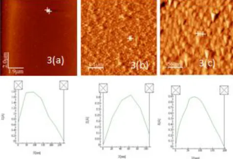 Fig. 2  FE-SEM images of carbon nano structures grown on Si  (100) substrates coated with 10 nm Fe-thin film (a) after 30 minutes pre-etching, (b) after 60 minutes pre-etching and (c) after 120 minutes respectively