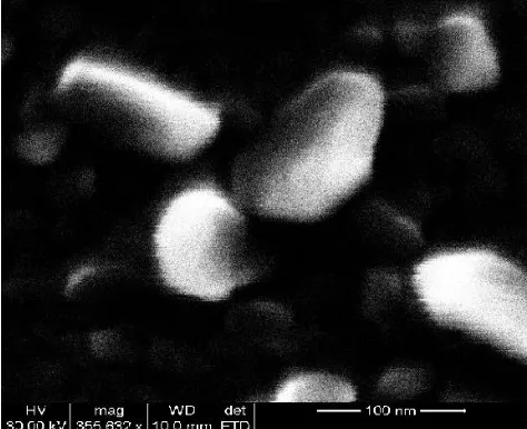Fig.5 Ultrra high magnification FE-SEM image of the novel shaped carbon nanostructures imaged from particular area of the 60 minutes pre -etching sample after PE-CVD process