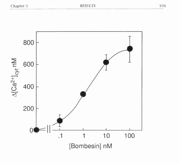 Figure 3.5.  Bombesin-induced  increase  in  [Ca^+jg ^ in  BOR 5 cells